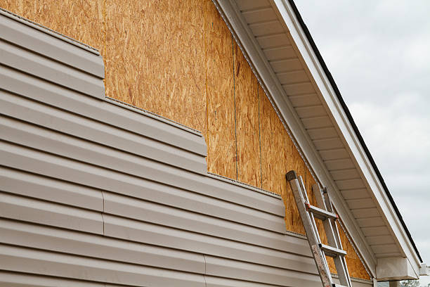 Professional Siding Inspection technician working in Holly Hill, SC